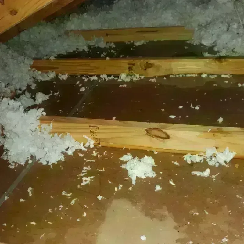 Attic Water Damage in Gonzales, CA