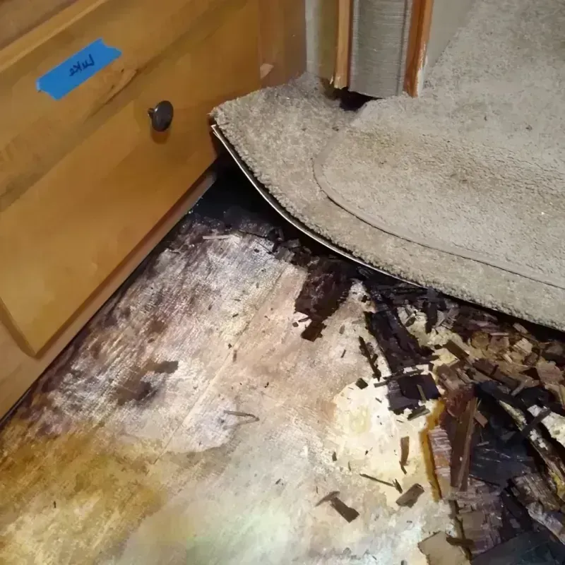 Wood Floor Water Damage in Gonzales, CA